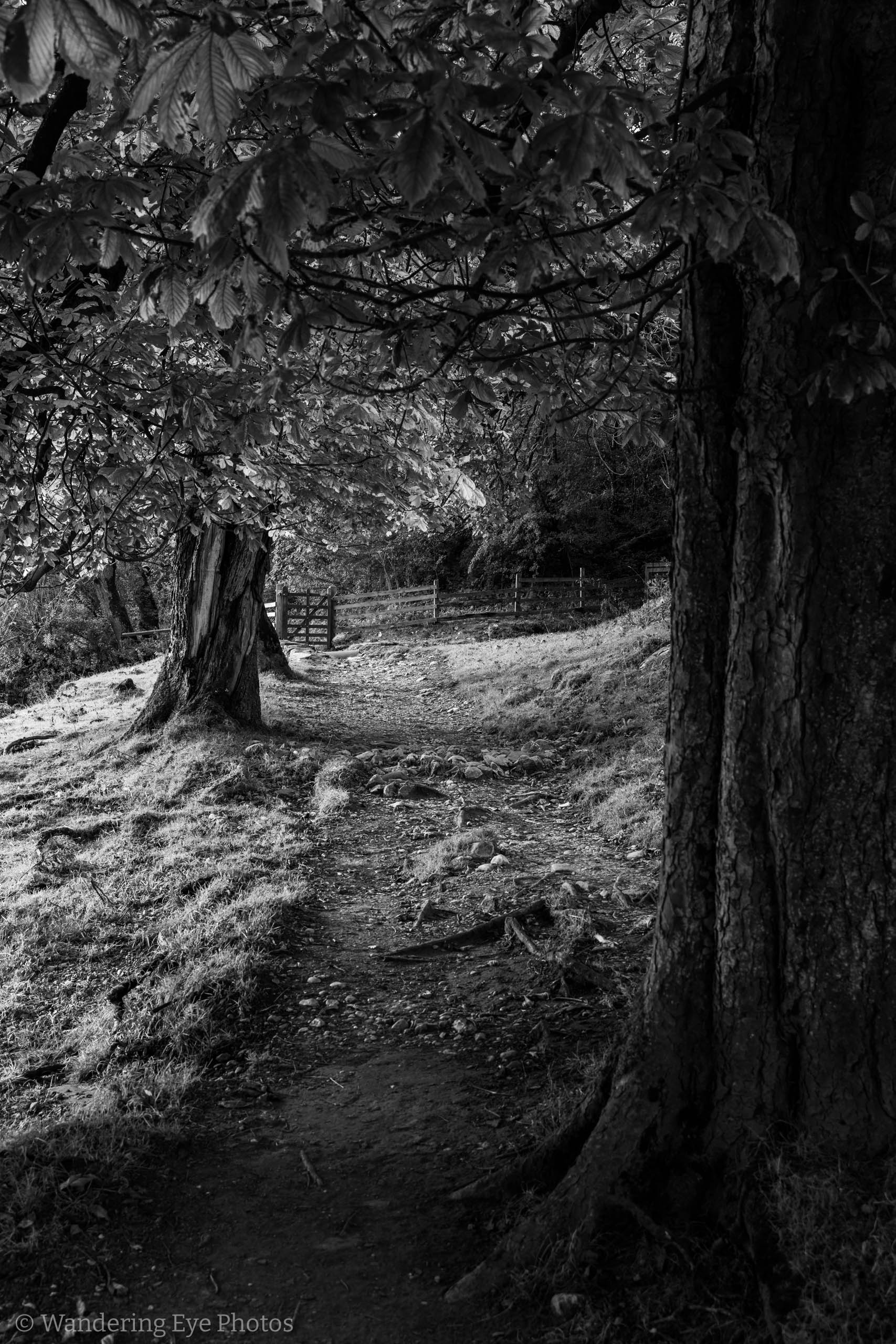 09.27 17.25.06   DSC03923